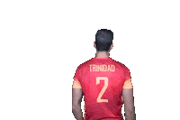 Angel Trinidad Volleyball Sticker by RedLynxes