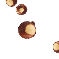 Hungry Food Sticker by Culver's