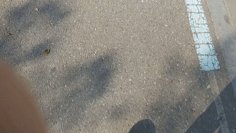 rtlumb giphyupload GIF