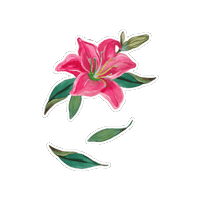 Azalea Sticker by marie birdie sport