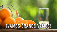 ¡Vamos Orange Vamos!