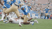 uclafootball football celebration running lets go GIF