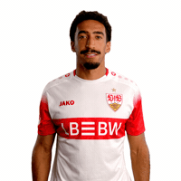 Whats Up What GIF by VfB Stuttgart 1893