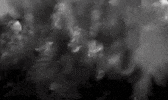 Movie Film GIF