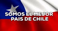 Viva Chile GIF