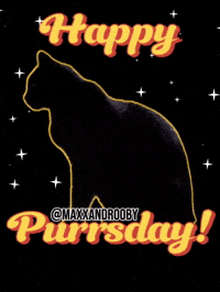 Happy Black Cat GIF