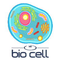 biocell biocell celulastronco celulastroncobiocell Sticker