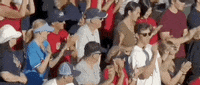 World Series Baseball GIF by NCAA Championships