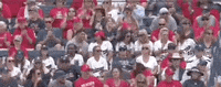 Florida State Arizona GIF by NCAA Championships