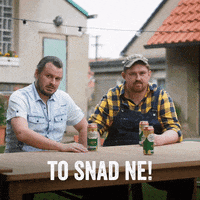 Starobrno_cz beer pivo Brno morava GIF