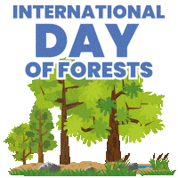 Climate Change Forest Sticker by Dogwood Alliance