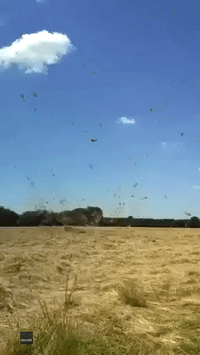 Dust Devil Swirls Hay Through the Air in English Countryside
