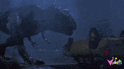 GIF by Vidiots