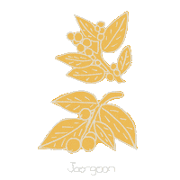 Illustration Australia Sticker by Magpie Goose
