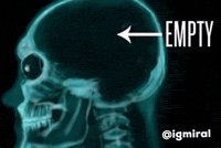 No Brain Low Iq GIF