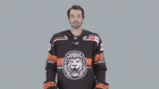 Hockey Del GIF by Löwen Frankfurt