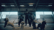 UniversalMusicDE show performance auto matrix GIF