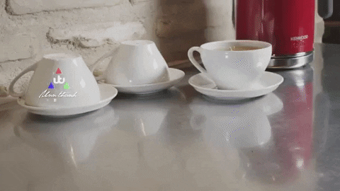 giphyupload GIF