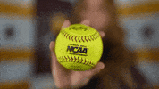 Loyola Softball GIF by LoyolaRamblers
