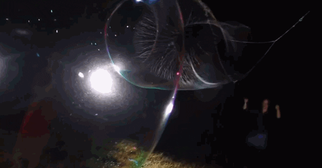 bubble exploding GIF