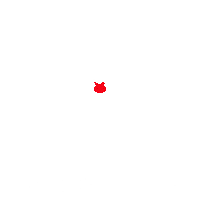 bullsproof deinestrkstestundedestages Sticker by CrossFit Bulls and Bears