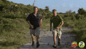 Beach Day Hello GIF by PBS KIDS