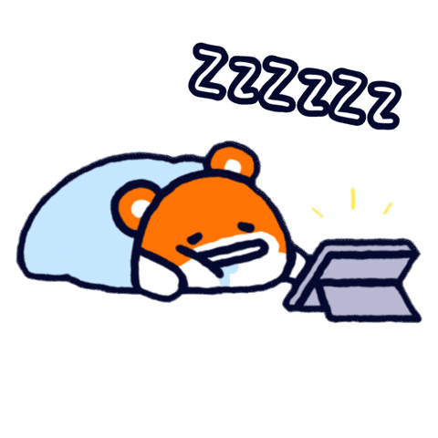 Sleep Sleeping GIF