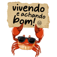 Vivendo E Achando Bom Sticker by Vem de Andada
