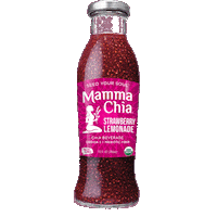 Chia Seeds Strawberry Sticker by Mamma Chia