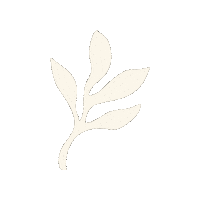 Skincare Waxing Sticker by The Pink Canoe Studio