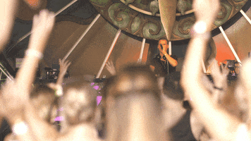Screamandshout festival handsup scream and shout parookaville GIF