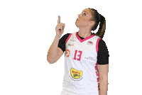 FoA_Naiset basketball hoops koripallo naisten korisliiga Sticker