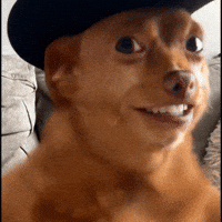 Baby Boy GIF