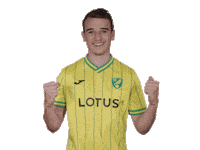 Premier League Soccer Sticker by Norwich City Football Club