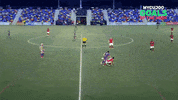 Football Goals GIF by ELEVEN SPORTS