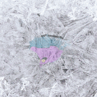 Freezing Cold Weather GIF by Nexio