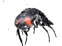 Billie Eilish Loop Sticker by Canek