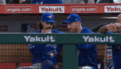 Blue Jays Baseball GIF by Toronto Blue Jays