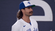 Blue Jays Smile GIF by Toronto Blue Jays