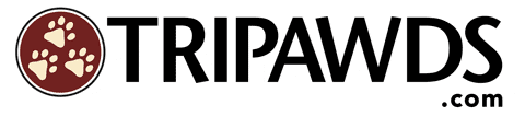 Paws Tri GIF by Tripawds