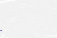 Heart Blessing GIF by Segensbuero