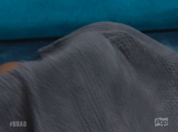 big brother pop GIF by Big Brother After Dark