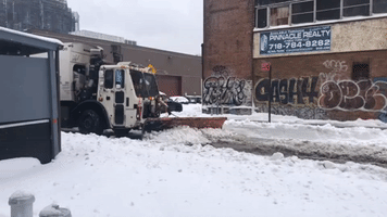 Dog Devours 'Delicious Snow' as Cleanup Gets Underway in Brooklyn