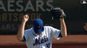 Baseball Mlb GIF by New York Mets