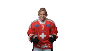 Celebrate Ev Zug Sticker by Swiss Ice Hockey