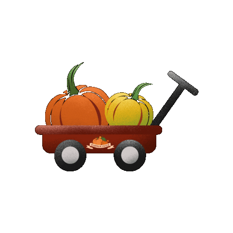 Pumpkin Patch Halloween Sticker by Il giardino delle zucche pp