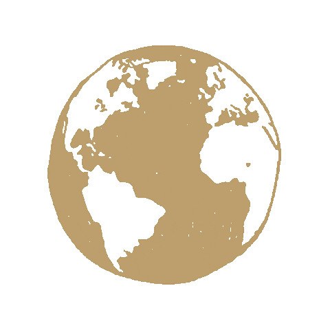 FSUIP giphyupload fsu study abroad noles abroad Sticker