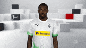 Come On Waiting GIF by Bundesliga