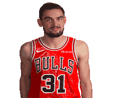 Tomas Satoransky Sticker by Chicago Bulls