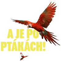 Barbora Poláková Nečekané Léto Sticker by falconfilmovenovinky